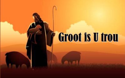 Groot is U Trou